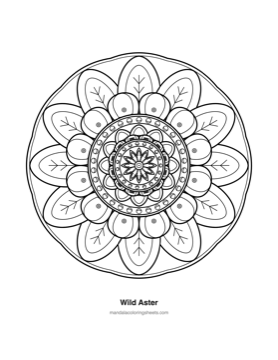 Floral Mandalas — printable mandala coloring page